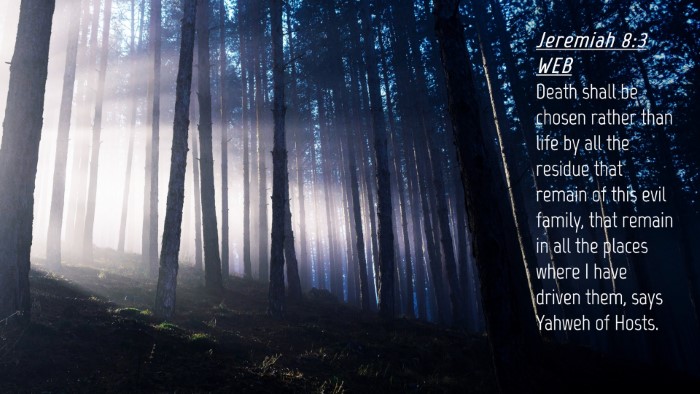Picture 04 - Jeremiah 8:3 WEB Desktop Wallpaper - Death shall be chosen rather than life by all the - Desktop Bible Verse Wallpaper