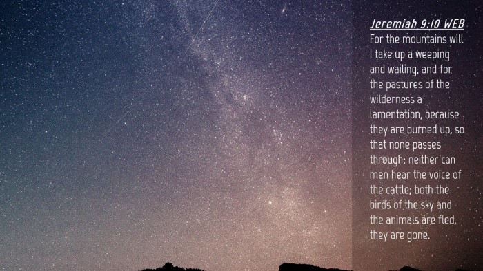 Picture 04 - Jeremiah 9:10 WEB Desktop Wallpaper - For the mountains will I take up a weeping and - Desktop Bible Verse Wallpaper