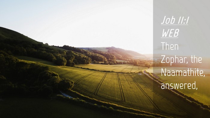Picture 04 - Job 11:1 WEB Desktop Wallpaper - Then Zophar, the Naamathite, - Desktop Bible Verse Wallpaper