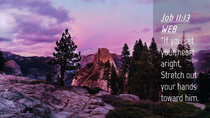 Picture 04 - Job 11:13 WEB Desktop Wallpaper - 