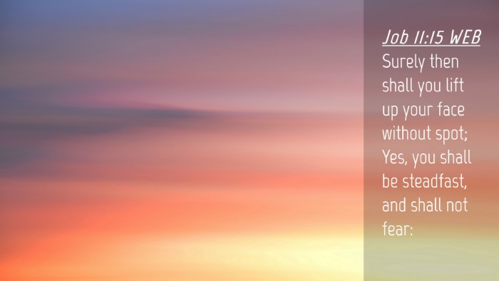 Picture 04 - Job 11:15 WEB Desktop Wallpaper - Surely then shall you lift up your face without - Desktop Bible Verse Wallpaper
