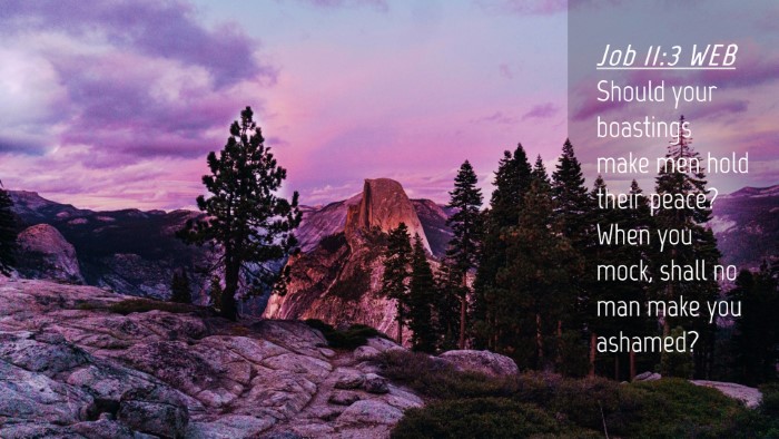 Picture 04 - Job 11:3 WEB Desktop Wallpaper - Should your boastings make men hold their peace? - Desktop Bible Verse Wallpaper
