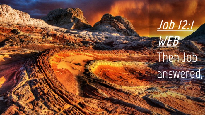 Picture 04 - Job 12:1 WEB Desktop Wallpaper - Then Job - Desktop Bible Verse Wallpaper