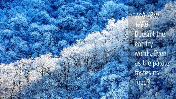 Picture 04 - Job 12:11 WEB Desktop Wallpaper - Doesn't the ear try words, Even as the palate - Desktop Bible Verse Wallpaper