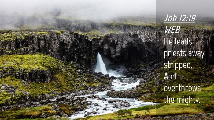 Picture 04 - Job 12:19 WEB Desktop Wallpaper - He leads priests away stripped, And overthrows - Desktop Bible Verse Wallpaper