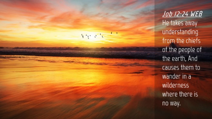 Picture 04 - Job 12:24 WEB Desktop Wallpaper - He takes away understanding from the chiefs of - Desktop Bible Verse Wallpaper