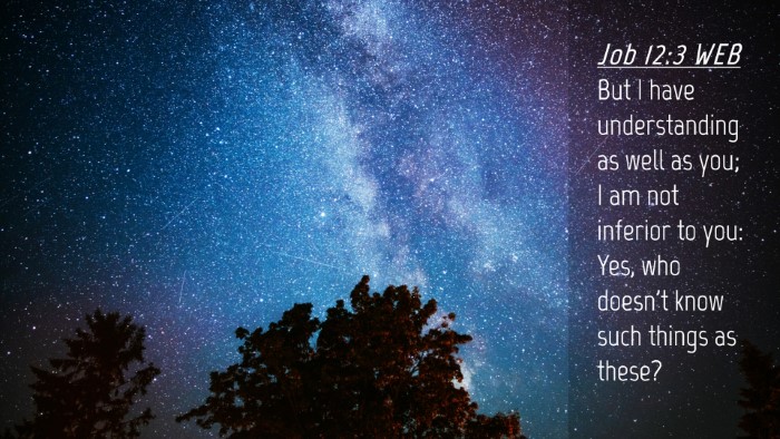 Picture 04 - Job 12:3 WEB Desktop Wallpaper - But I have understanding as well as you; I am not - Desktop Bible Verse Wallpaper