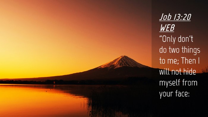Picture 04 - Job 13:20 WEB Desktop Wallpaper - 