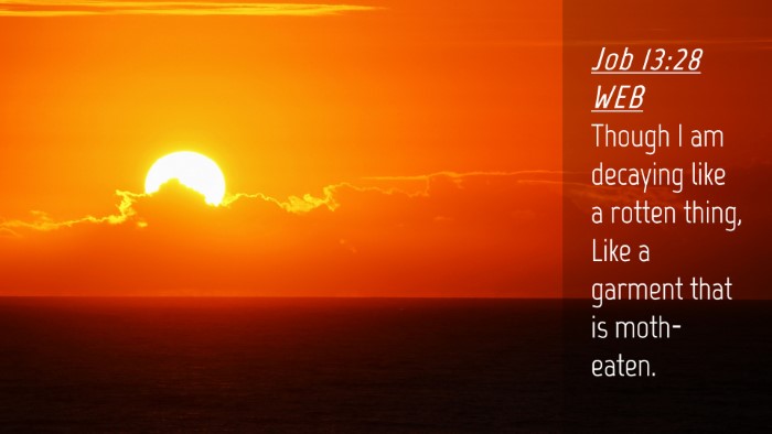 Picture 04 - Job 13:28 WEB Desktop Wallpaper - Though I am decaying like a rotten thing, Like a - Desktop Bible Verse Wallpaper