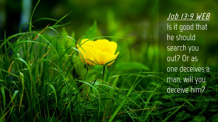 Picture 04 - Job 13:9 WEB Desktop Wallpaper - Is it good that he should search you out? Or as - Desktop Bible Verse Wallpaper