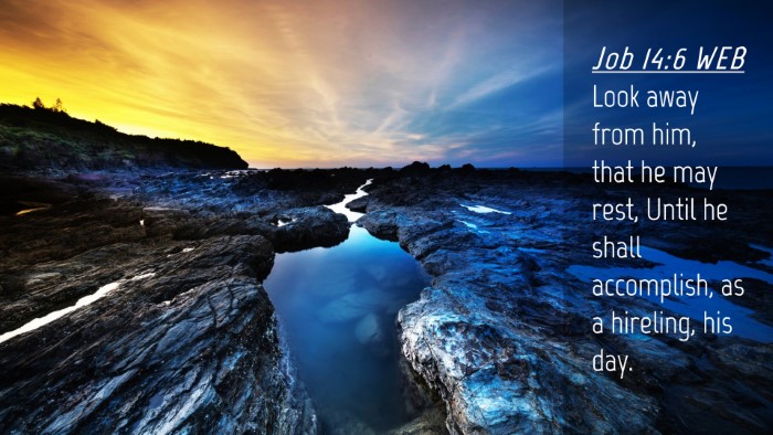 Picture 04 - Job 14:6 WEB Desktop Wallpaper - Look away from him, that he may rest, Until he - Desktop Bible Verse Wallpaper