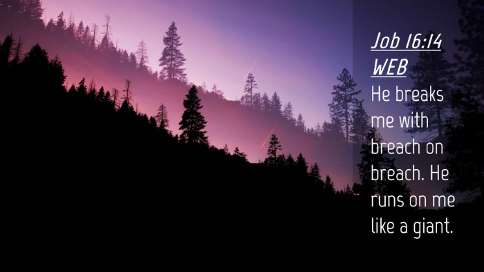Picture 04 - Job 16:14 WEB Desktop Wallpaper - He breaks me with breach on breach. He runs on me - Desktop Bible Verse Wallpaper