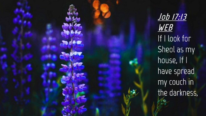 Picture 04 - Job 17:13 WEB Desktop Wallpaper - If I look for Sheol as my house, If I have spread - Desktop Bible Verse Wallpaper