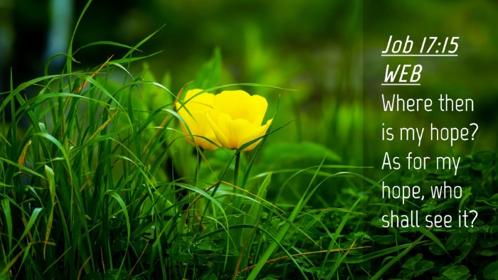 Picture 04 - Job 17:15 WEB Desktop Wallpaper - Where then is my hope? As for my hope, who shall - Desktop Bible Verse Wallpaper
