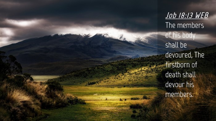 Picture 04 - Job 18:13 WEB Desktop Wallpaper - The members of his body shall be devoured, The - Desktop Bible Verse Wallpaper