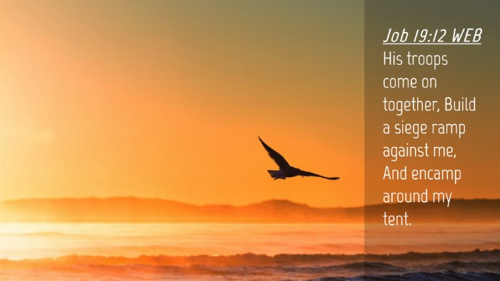 Picture 04 - Job 19:12 WEB Desktop Wallpaper - His troops come on together, Build a siege ramp - Desktop Bible Verse Wallpaper