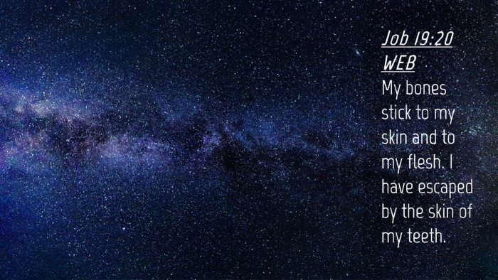 Picture 04 - Job 19:20 WEB Desktop Wallpaper - My bones stick to my skin and to my flesh. I have - Desktop Bible Verse Wallpaper