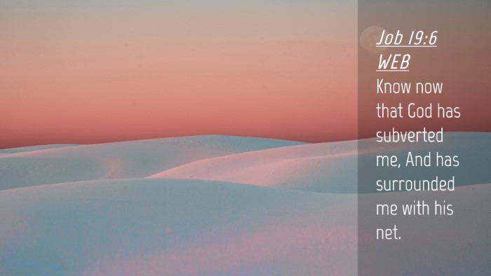 Picture 04 - Job 19:6 WEB Desktop Wallpaper - Know now that God has subverted me, And has - Desktop Bible Verse Wallpaper