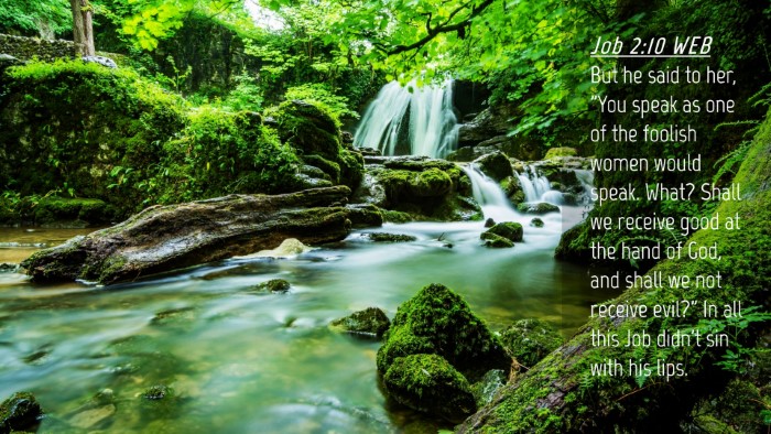 Picture 04 - Job 2:10 WEB Desktop Wallpaper - But he said to her, 