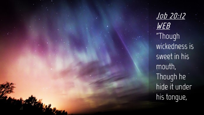 Picture 04 - Job 20:12 WEB Desktop Wallpaper - 