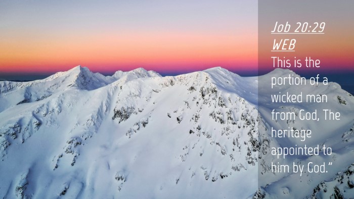Picture 04 - Job 20:29 WEB Desktop Wallpaper - This is the portion of a wicked man from God, The - Desktop Bible Verse Wallpaper