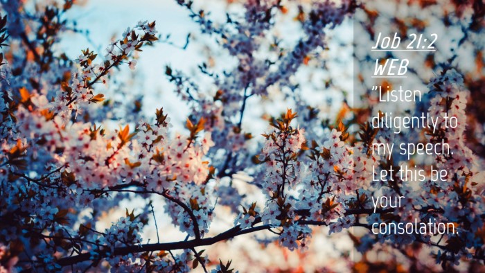 Picture 04 - Job 21:2 WEB Desktop Wallpaper - 