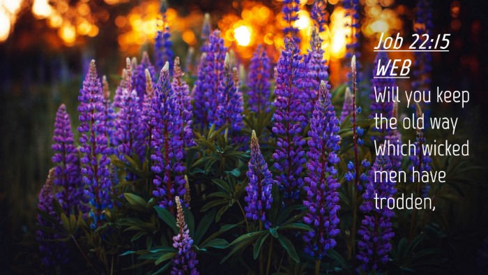 Picture 04 - Job 22:15 WEB Desktop Wallpaper - Will you keep the old way Which wicked men have - Desktop Bible Verse Wallpaper