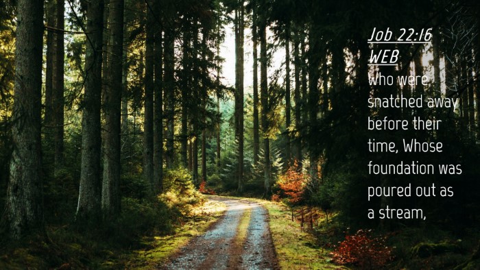 Picture 04 - Job 22:16 WEB Desktop Wallpaper - Who were snatched away before their time, Whose - Desktop Bible Verse Wallpaper