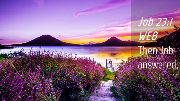 Picture 04 - Job 23:1 WEB Desktop Wallpaper - Then Job - Desktop Bible Verse Wallpaper