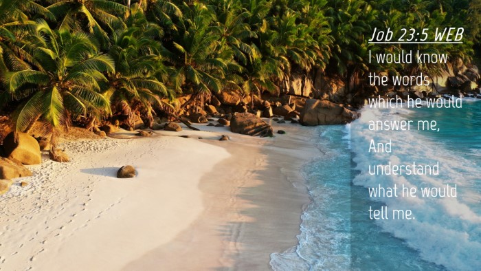 Picture 04 - Job 23:5 WEB Desktop Wallpaper - I would know the words which he would answer me, - Desktop Bible Verse Wallpaper