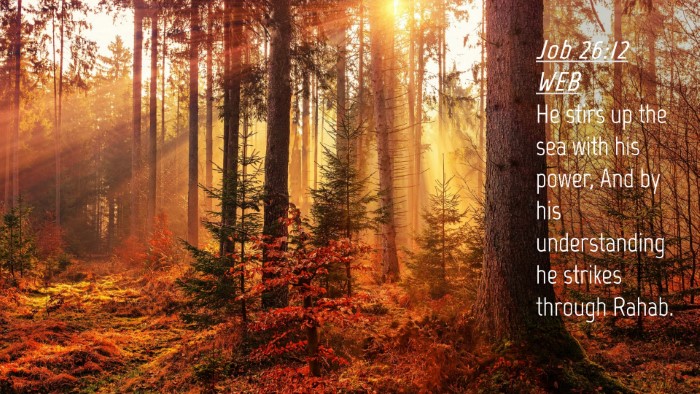 Picture 04 - Job 26:12 WEB Desktop Wallpaper - He stirs up the sea with his power, And by his - Desktop Bible Verse Wallpaper