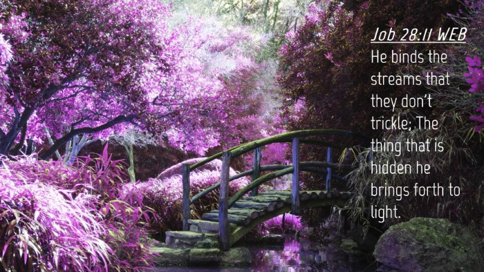 Picture 04 - Job 28:11 WEB Desktop Wallpaper - He binds the streams that they don't trickle; The - Desktop Bible Verse Wallpaper