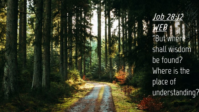 Picture 04 - Job 28:12 WEB Desktop Wallpaper - 