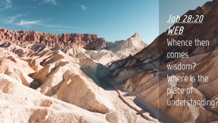 Picture 04 - Job 28:20 WEB Desktop Wallpaper - Whence then comes wisdom? Where is the place of - Desktop Bible Verse Wallpaper
