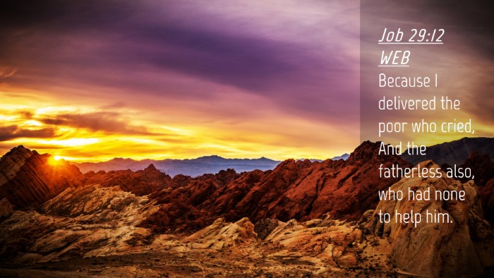 Picture 04 - Job 29:12 WEB Desktop Wallpaper - Because I delivered the poor who cried, And the - Desktop Bible Verse Wallpaper