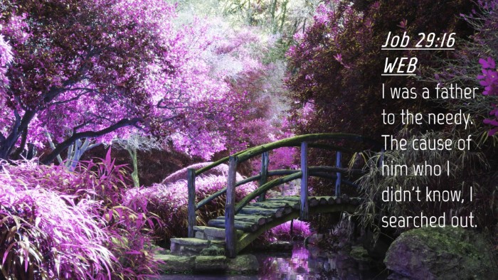 Picture 04 - Job 29:16 WEB Desktop Wallpaper - I was a father to the needy. The cause of him who - Desktop Bible Verse Wallpaper