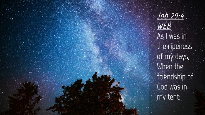 Picture 04 - Job 29:4 WEB Desktop Wallpaper - As I was in the ripeness of my days, When the - Desktop Bible Verse Wallpaper