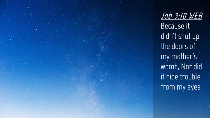 Picture 04 - Job 3:10 WEB Desktop Wallpaper - Because it didn't shut up the doors of my - Desktop Bible Verse Wallpaper
