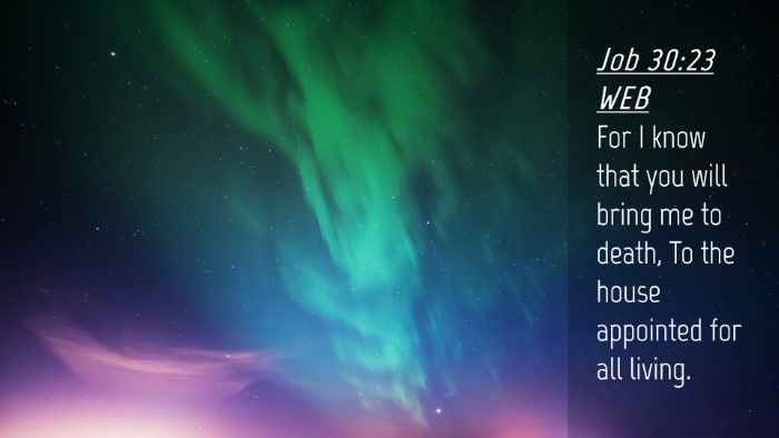 Picture 04 - Job 30:23 WEB Desktop Wallpaper - For I know that you will bring me to death, To - Desktop Bible Verse Wallpaper