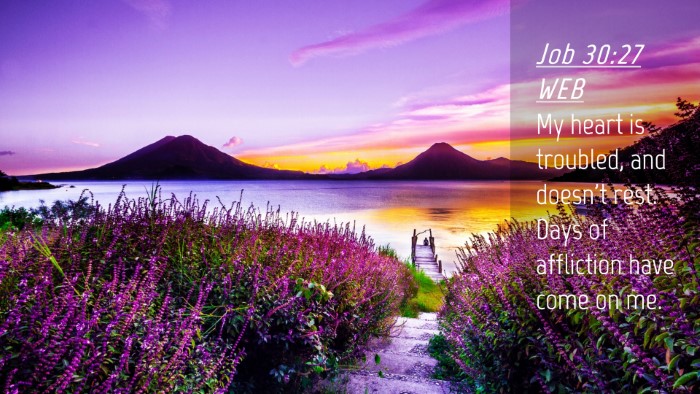 Picture 04 - Job 30:27 WEB Desktop Wallpaper - My heart is troubled, and doesn't rest. Days of - Desktop Bible Verse Wallpaper