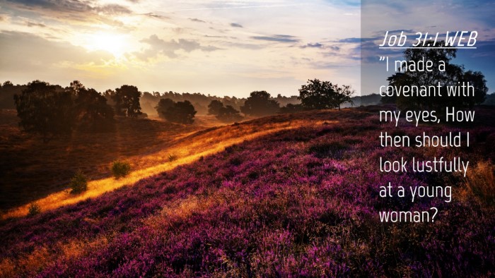Picture 04 - Job 31:1 WEB Desktop Wallpaper - 