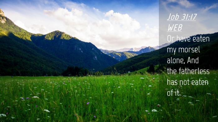 Picture 04 - Job 31:17 WEB Desktop Wallpaper - Or have eaten my morsel alone, And the fatherless - Desktop Bible Verse Wallpaper