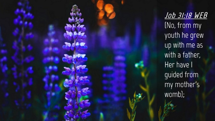 Picture 04 - Job 31:18 WEB Desktop Wallpaper - (No, from my youth he grew up with me as with a - Desktop Bible Verse Wallpaper