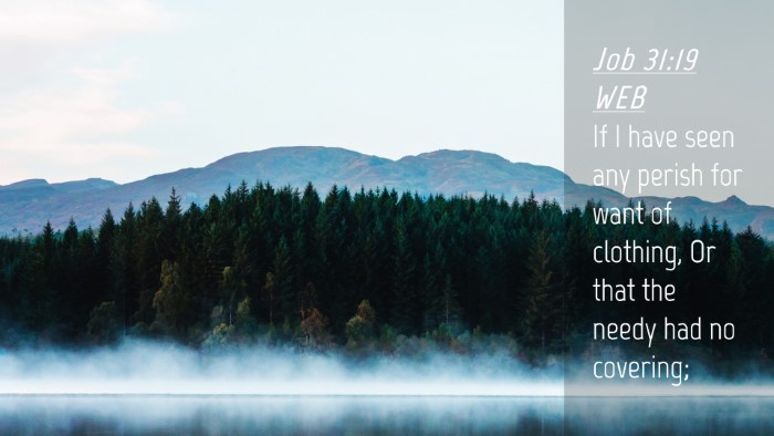 Picture 04 - Job 31:19 WEB Desktop Wallpaper - If I have seen any perish for want of clothing, - Desktop Bible Verse Wallpaper