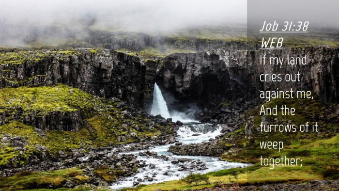 Picture 04 - Job 31:38 WEB Desktop Wallpaper - If my land cries out against me, And the furrows - Desktop Bible Verse Wallpaper