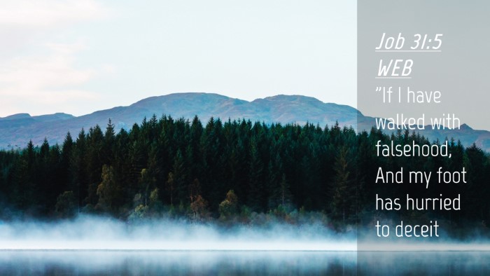 Picture 04 - Job 31:5 WEB Desktop Wallpaper - 