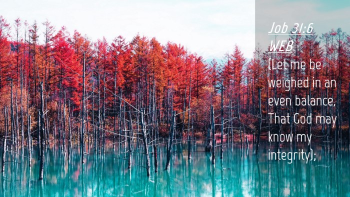 Picture 04 - Job 31:6 WEB Desktop Wallpaper - (Let me be weighed in an even balance, That God - Desktop Bible Verse Wallpaper