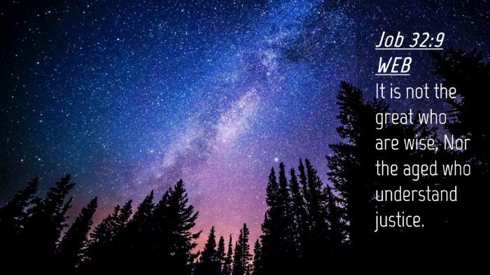 Picture 04 - Job 32:9 WEB Desktop Wallpaper - It is not the great who are wise, Nor the aged - Desktop Bible Verse Wallpaper