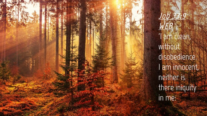 Picture 04 - Job 33:9 WEB Desktop Wallpaper - 'I am clean, without disobedience. I am innocent, - Desktop Bible Verse Wallpaper