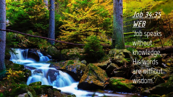 Picture 04 - Job 34:35 WEB Desktop Wallpaper - 'Job speaks without knowledge, His words are - Desktop Bible Verse Wallpaper